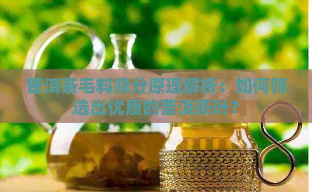 普洱茶毛料筛分原理解析：如何筛选出优质的普洱茶叶？