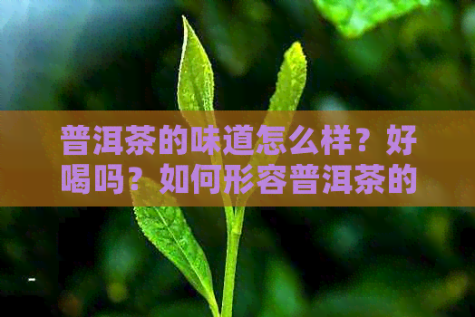 普洱茶的味道怎么样？好喝吗？如何形容普洱茶的味道？