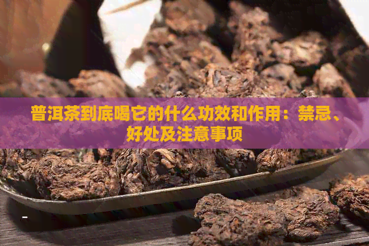 普洱茶到底喝它的什么功效和作用：禁忌、好处及注意事项