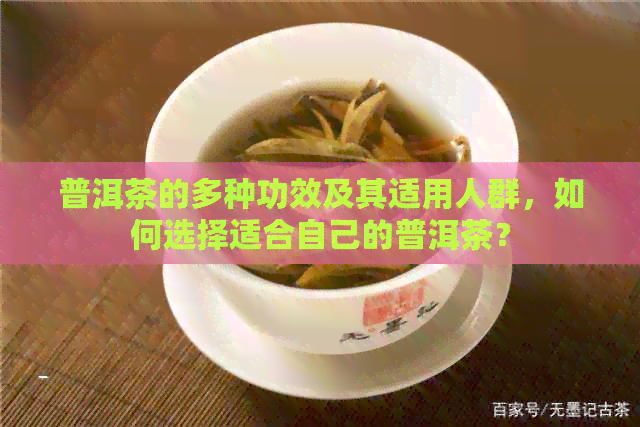 普洱茶的多种功效及其适用人群，如何选择适合自己的普洱茶？