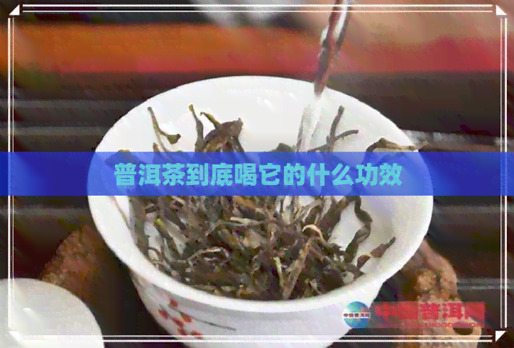 普洱茶到底喝它的什么功效