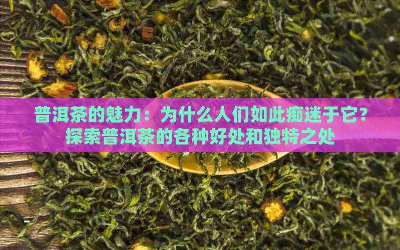 普洱茶的魅力：为什么人们如此痴迷于它？探索普洱茶的各种好处和独特之处