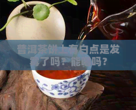 普洱茶饼上有白点是发霉了吗？能喝吗？