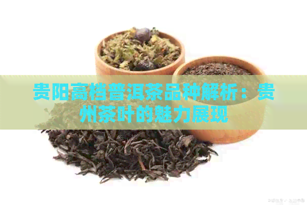 贵阳高档普洱茶品种解析：贵州茶叶的魅力展现