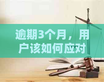 逾期3个月，用户该如何应对和解决？逾期后果、处理方法一文解析