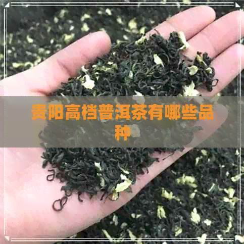 贵阳高档普洱茶有哪些品种