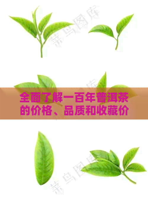 全面了解一百年普洱茶的价格、品质和收藏价值：一篇文章解答您的所有疑问