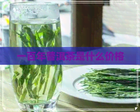 一百年普洱茶是什么价格