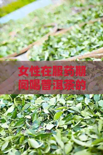 女性在服药期间喝普洱茶的适量与对健的影响：可以、但需谨