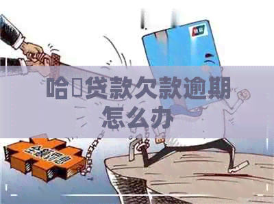 哈啰贷款欠款逾期怎么办