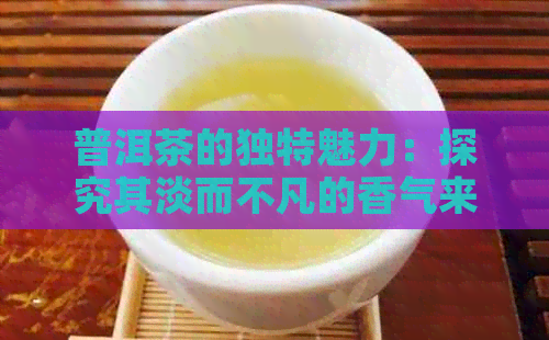 普洱茶的独特魅力：探究其淡而不凡的香气来源