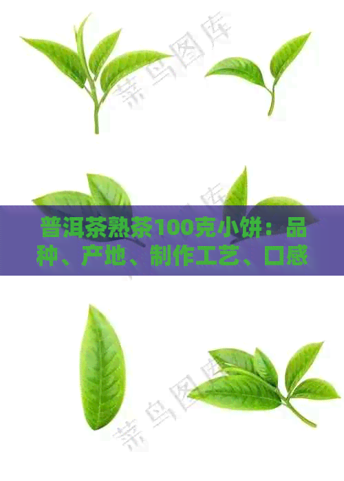 普洱茶熟茶100克小饼：品种、产地、制作工艺、口感特点与冲泡方法全面解析