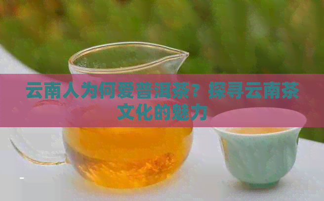 云南人为何爱普洱茶？探寻云南茶文化的魅力