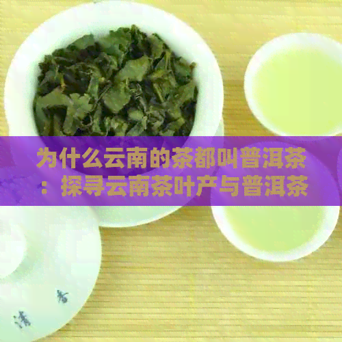 为什么云南的茶都叫普洱茶：探寻云南茶叶产与普洱茶命名原因