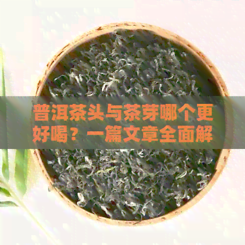 普洱茶头与茶芽哪个更好喝？一篇文章全面解答你的疑问