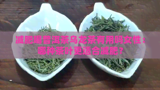 减肥喝普洱茶乌龙茶有用吗女性：哪种茶叶更适合减肥？