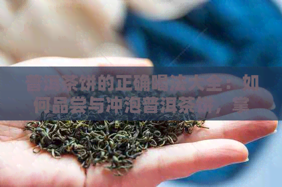 普洱茶饼的正确喝法大全：如何品尝与冲泡普洱茶饼，掌握正确的饮用技巧。