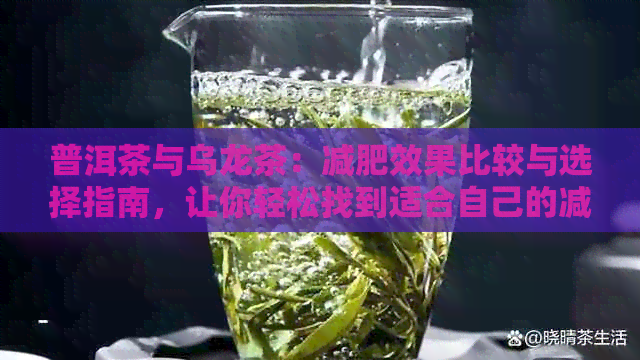 普洱茶与乌龙茶：减肥效果比较与选择指南，让你轻松找到适合自己的减肥茶