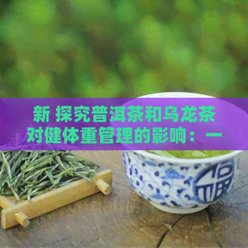 新 探究普洱茶和乌龙茶对健体重管理的影响：一次全面的研究