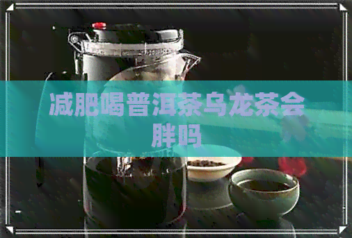 减肥喝普洱茶乌龙茶会胖吗