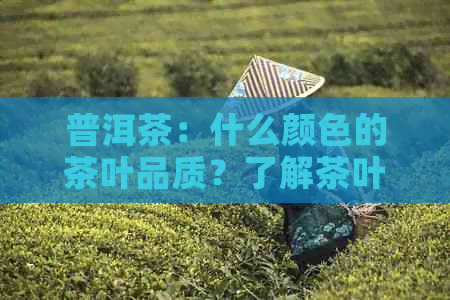 普洱茶：什么颜色的茶叶品质？了解茶叶的颜色和口感，挑选出品饮