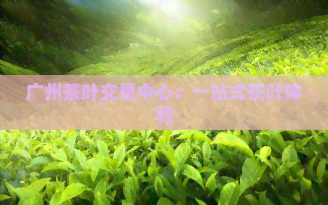 广州茶叶交易中心：一站式茶叶体验