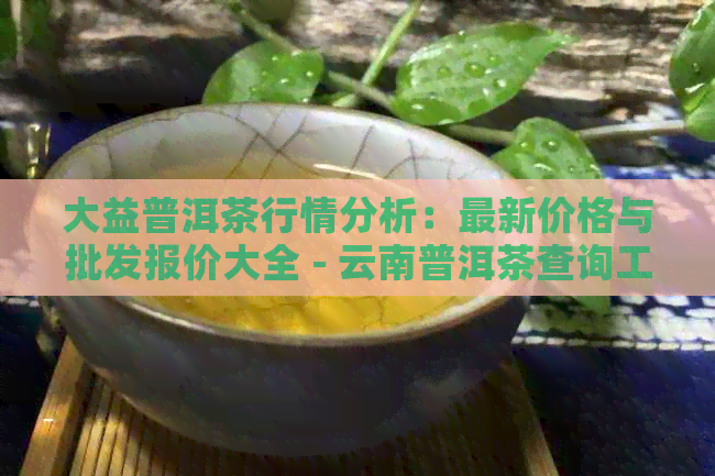 大益普洱茶行情分析：最新价格与批发报价大全 - 云南普洱茶查询工具