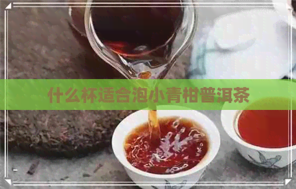 什么杯适合泡小青柑普洱茶