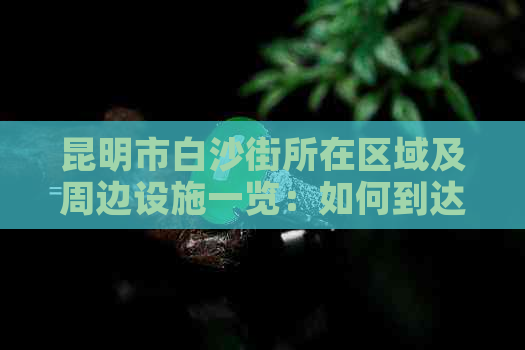 昆明市白沙街所在区域及周边设施一览：如何到达、公共交通、购物和餐饮指南