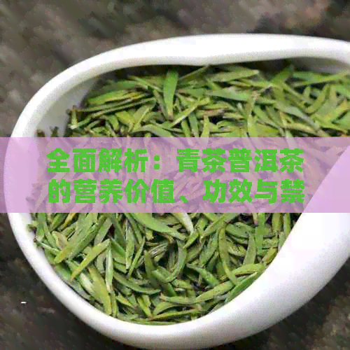 全面解析：青茶普洱茶的营养价值、功效与禁忌，助您健饮茶