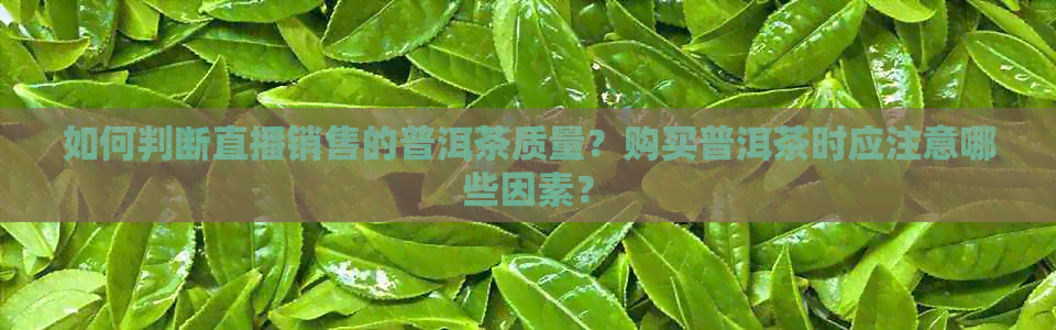 如何判断直播销售的普洱茶质量？购买普洱茶时应注意哪些因素？