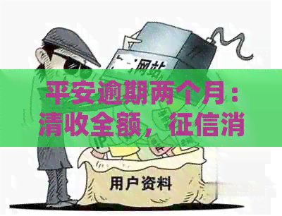 平安逾期两个月：清收全额，消除，短信通知，资产无保障