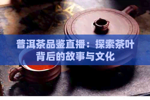 普洱茶品鉴直播：探索茶叶背后的故事与文化