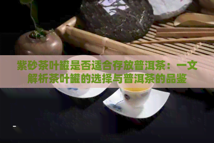 紫砂茶叶罐是否适合存放普洱茶：一文解析茶叶罐的选择与普洱茶的品鉴