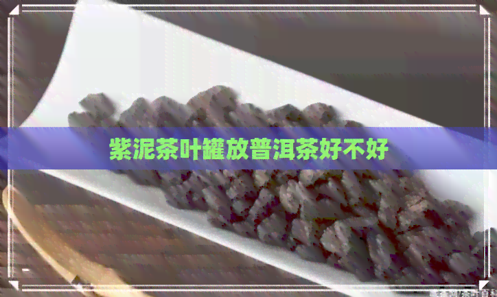 紫泥茶叶罐放普洱茶好不好