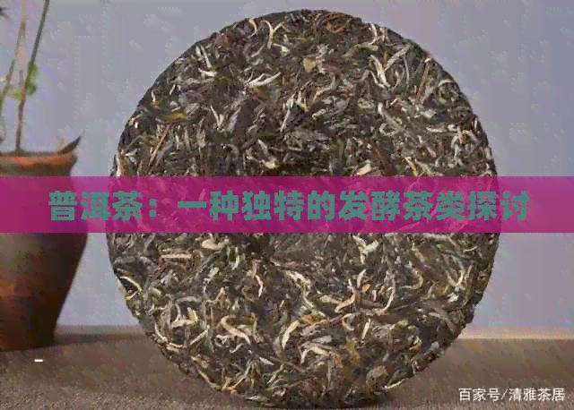 普洱茶：一种独特的发酵茶类探讨