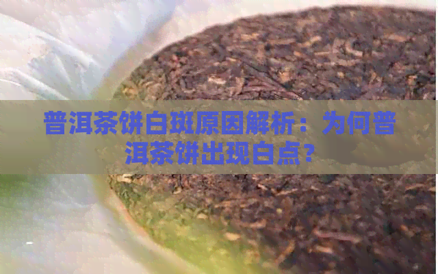 普洱茶饼白斑原因解析：为何普洱茶饼出现白点？