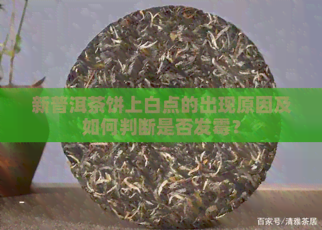 新普洱茶饼上白点的出现原因及如何判断是否发霉？