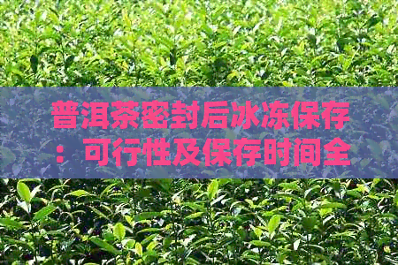 普洱茶密封后冰冻保存：可行性及保存时间全解析