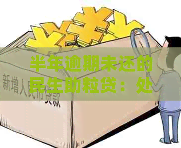 半年逾期未还的民生助粒贷：处理策略与影响分析