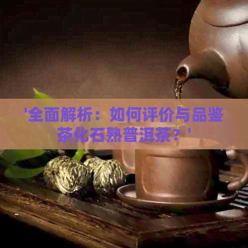 '全面解析：如何评价与品鉴茶化石熟普洱茶？'