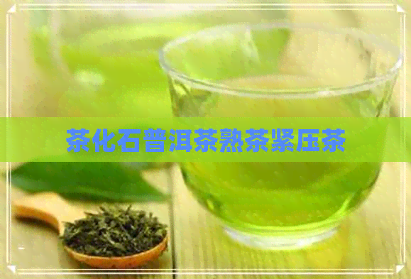 茶化石普洱茶熟茶紧压茶