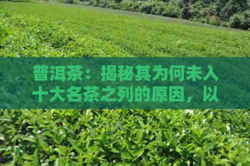 普洱茶：揭秘其为何未入十大名茶之列的原因，以及其独特的魅力与价值