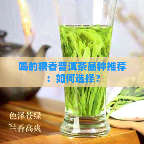 喝的糯香普洱茶品种推荐：如何选择？