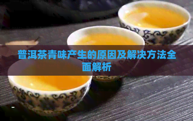 普洱茶青味产生的原因及解决方法全面解析