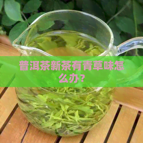 普洱茶新茶有青草味怎么办？