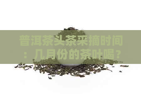 普洱茶头茶采摘时间：几月份的茶叶喝？