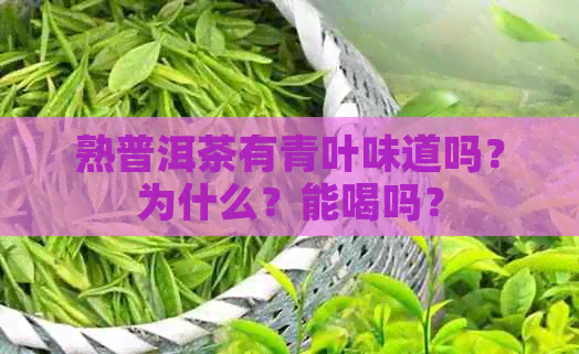 熟普洱茶有青叶味道吗？为什么？能喝吗？