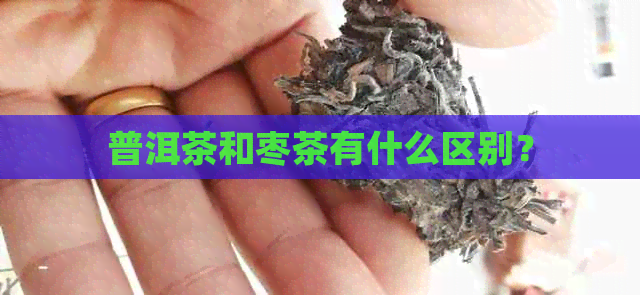 普洱茶和枣茶有什么区别？