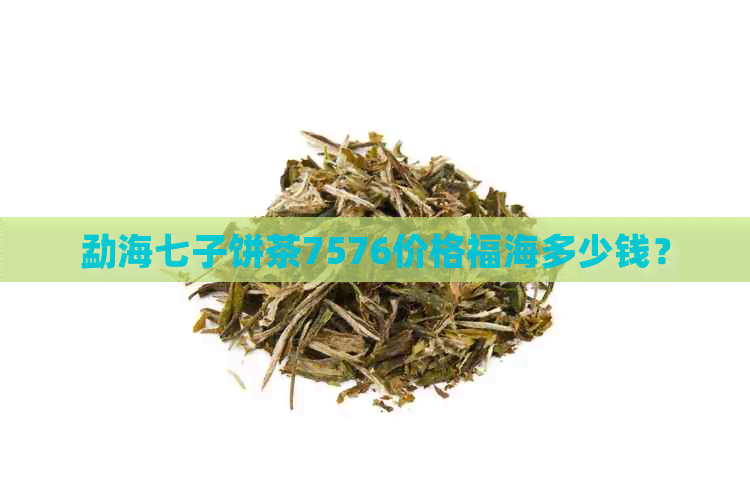 勐海七子饼茶7576价格福海多少钱？